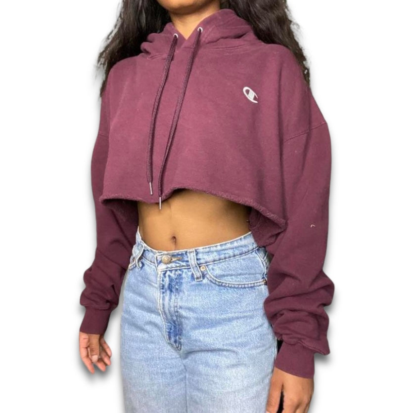 Champion purple cropped hoodie hot sale